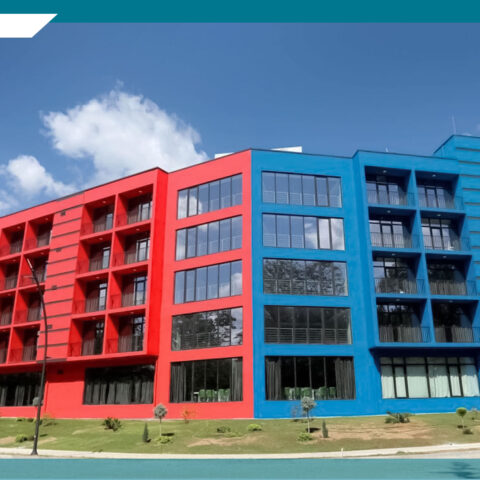 საუნივერსიტეტო ქალაქი