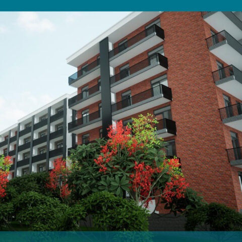 კოლოსი დიღომი